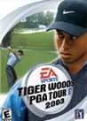 Tiger Woods PGA Tour 2003 Crack + Keygen Download 2022