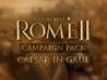 Total War: Rome II - Caesar in Gaul Crack + Serial Number Download