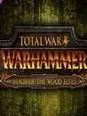 Total War: WARHAMMER - Realm of the Wood Elves Crack With Activator Latest